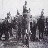 Ảnh độc về chuyến săn voi ở Tây Nguyên 100 năm trước
