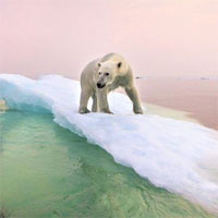 Bắc Cực ấm lên gây nguy cơ lây lan virus lạ và chất thải hạt nhân