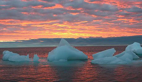 Bắc cực sẽ tan hết băng sau 5 năm nữa