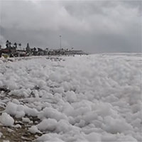 Bãi biển Ấn Độ phủ bọt trắng xóa do ô nhiễm