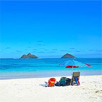 Bãi cát trắng tuyệt đẹp ở Hawaii thực chất chỉ là... phân cá?