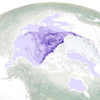 Băng lâu năm ở Bắc Cực đang biến mất