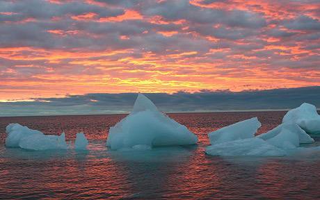 Băng ở Bắc Cực có thể sẽ biến mất vào năm 2030