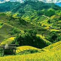 Báo Anh chọn Việt Nam là nơi hợp nhất để du lịch một mình