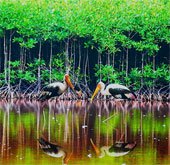 Bảo tồn đa dạng sinh học Vườn quốc gia Mũi Cà Mau