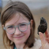 Bé gái 9 tuổi tìm thấy răng gấu 700.000 năm trên bãi biển