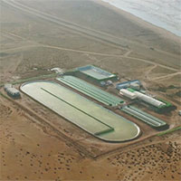 Bể nước biển 12.000m2 nuôi tảo giữa sa mạc Sahara