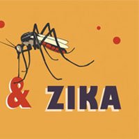 Bệnh do virus Zika và sốt xuất huyết khác nhau thế nào?