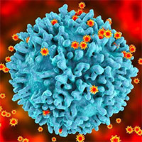 Bệnh nhân thứ 3 được chữa khỏi HIV nhờ ghép tế bào gốc