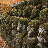 Bí mật hàng nghìn tượng đá phủ rêu biểu lộ đủ mọi cung bậc cảm xúc