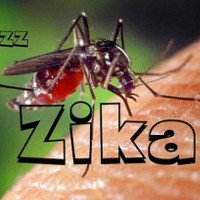 Bộ Y tế cảnh báo virus Zika đã lưu hành trong cộng đồng