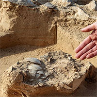 Các nhà khảo cổ tìm thấy trứng đà điểu hơn 4.000 năm trên sa mạc