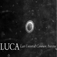 Các nhà khoa học phát hiện LUCA, sinh vật đơn bào được cho là thủy tổ của sự sống