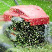 Các nhà khoa học tìm được cách biến cỏ thành xăng chỉ trong vài tuần