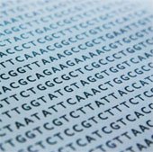 Các nhà khoa học tìm ra cách thay đổi bộ gene ở người