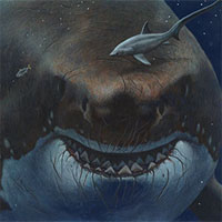 Các nhà khoa học xác nhận họ chẳng biết siêu cá mập Megalodon thật sự trông như thế nào