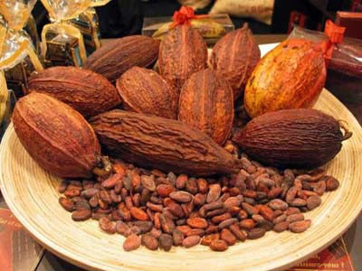 Cacao tốt cho bệnh nhân huyết áp cao