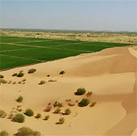 Cách Trung Quốc phủ xanh sa mạc 