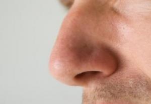 Cạnh tranh khứu giác: hai lỗ mũi luân phiên xử lí hai mùi khác nhau