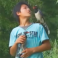 Cậu bé có thể ra lệnh cho chim làm mọi việc: Đến các chuyên gia cũng bất ngờ!