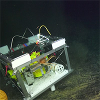 Câu chuyện về con cua và chiếc máy đo địa chấn dưới đáy đại dương