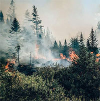 Cháy rừng Canada thải ra hơn 1 tỷ tấn CO2