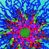 Chế tạo thành công hạt nano mang nhiều loại thuốc điều trị ung thư