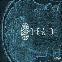 Chết não và cái chết của con người