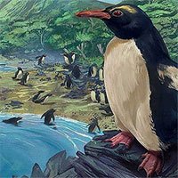 Chim cánh cụt cổ đại cao bằng người từng sống ở lục địa 