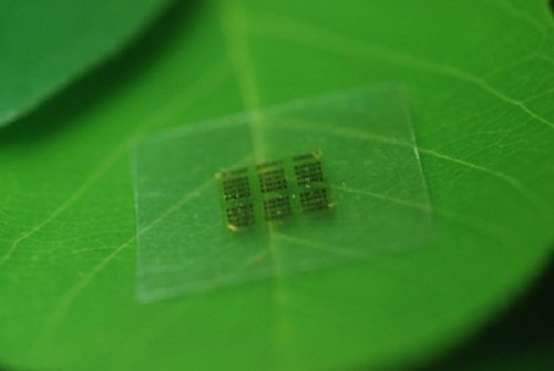 Chip máy tính tự phân hủy làm từ gỗ