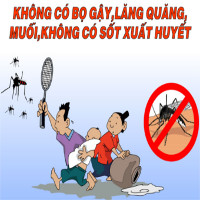 Chống lại bệnh sốt xuất huyết đang 