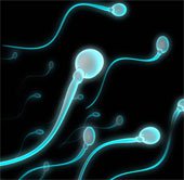 Chữa vô sinh nam bằng tinh trùng nhân tạo