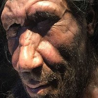 Chúng ta “bà con” với người Neanderthal đã tuyệt chủng nhiều hơn ta tưởng