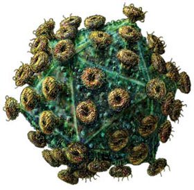 Chủng virus HIV kháng thuốc có nguy cơ lan rộng
