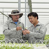Chuyên gia Nhật bày cách nâng thu nhập cho nông dân Việt