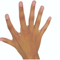 Có 6 ngón tay không vô dụng như các bác sĩ từng nghĩ