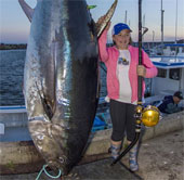 Cô bé bắt gọn cá ngừ khổng lồ nặng 280kg