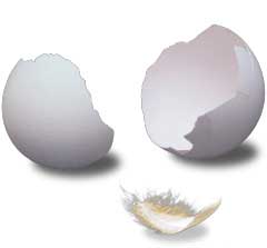Có dễ dàng bóp vỡ được vỏ trứng không?