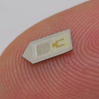 Con chip silicon đầu tiên trên thế giới có thể cấy vào não và tự hòa tan