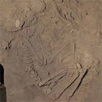 Công bố phát hiện 11 hang động huyền bí và di cốt người có niên đại 1 vạn năm tại Tam Chúc