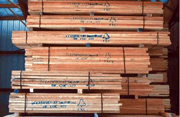Công nghệ biến gỗ xấu thành gỗ tốt