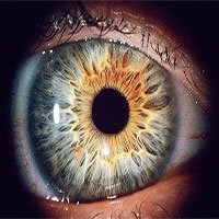 Công nghệ quét mống mắt có thể phân biệt được mắt người sống và người chết