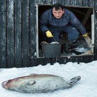 Cuộc sống khắc nghiệt ở vùng đất lạnh giá giáp Bắc Cực