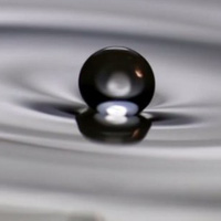 Đã có lời lý giải tại sao một hạt nước lại có thể lăn trên mặt nước mà không hòa vào nhau