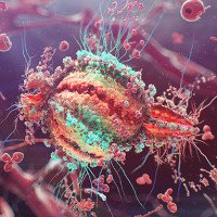 Đã có thể phát hiện tế bào T nhiễm HIV đang 