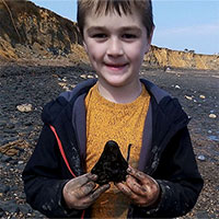 Đi dạo bờ biển, cậu bé 6 tuổi phát hiện răng cá mập cổ từng thống trị biển cả