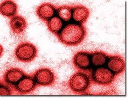 Độ ẩm thấp khiến bệnh cúm phát triển mạnh
