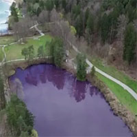Độc lạ hồ nước chuyển màu tím ở Đức