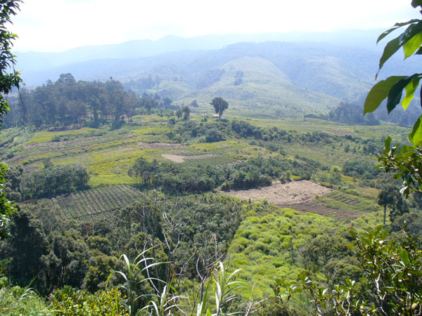 Động đất mạnh 7,1 richter rung chuyển Papua New Guinea