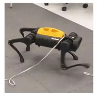 Dù không được lập trình trước nhưng con robot này đã có thể tự học đi!